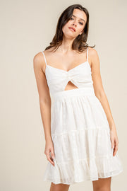 EMBROIDERED ON CHIFFON FRONT CUT-OUT MINI DRESS
