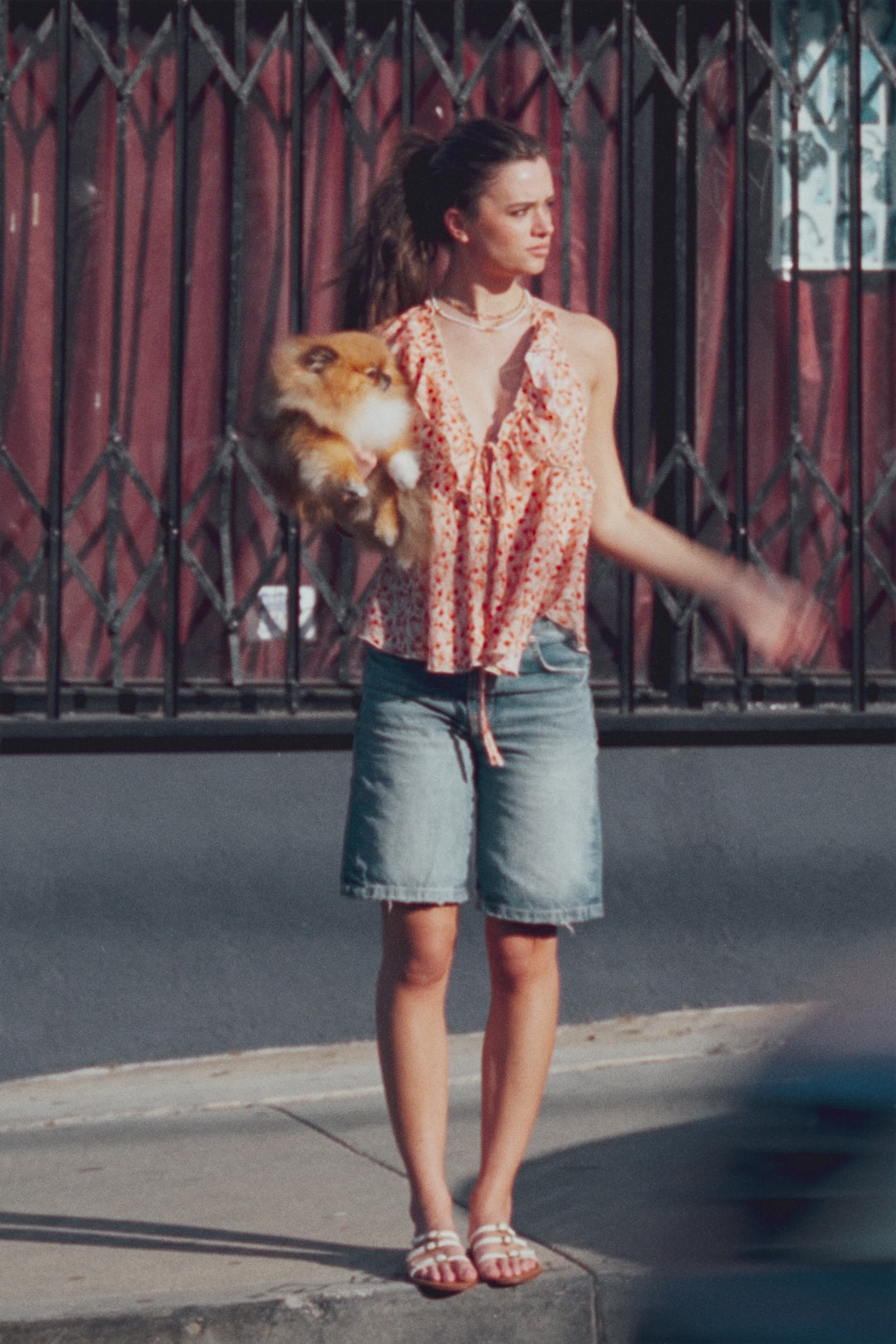 Load video: JACQUARD CHIFFON FRONT RUFFLE NECK WITH DOUBLE TIE S/L TOP